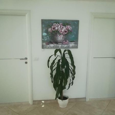 Apartman Daria Apartment Trogir Exterior foto